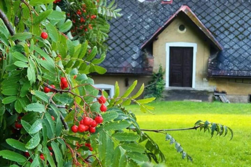 Stylovy Vesnicky V Soukromi M. Skala Cesky Raj Appartement Koberovy