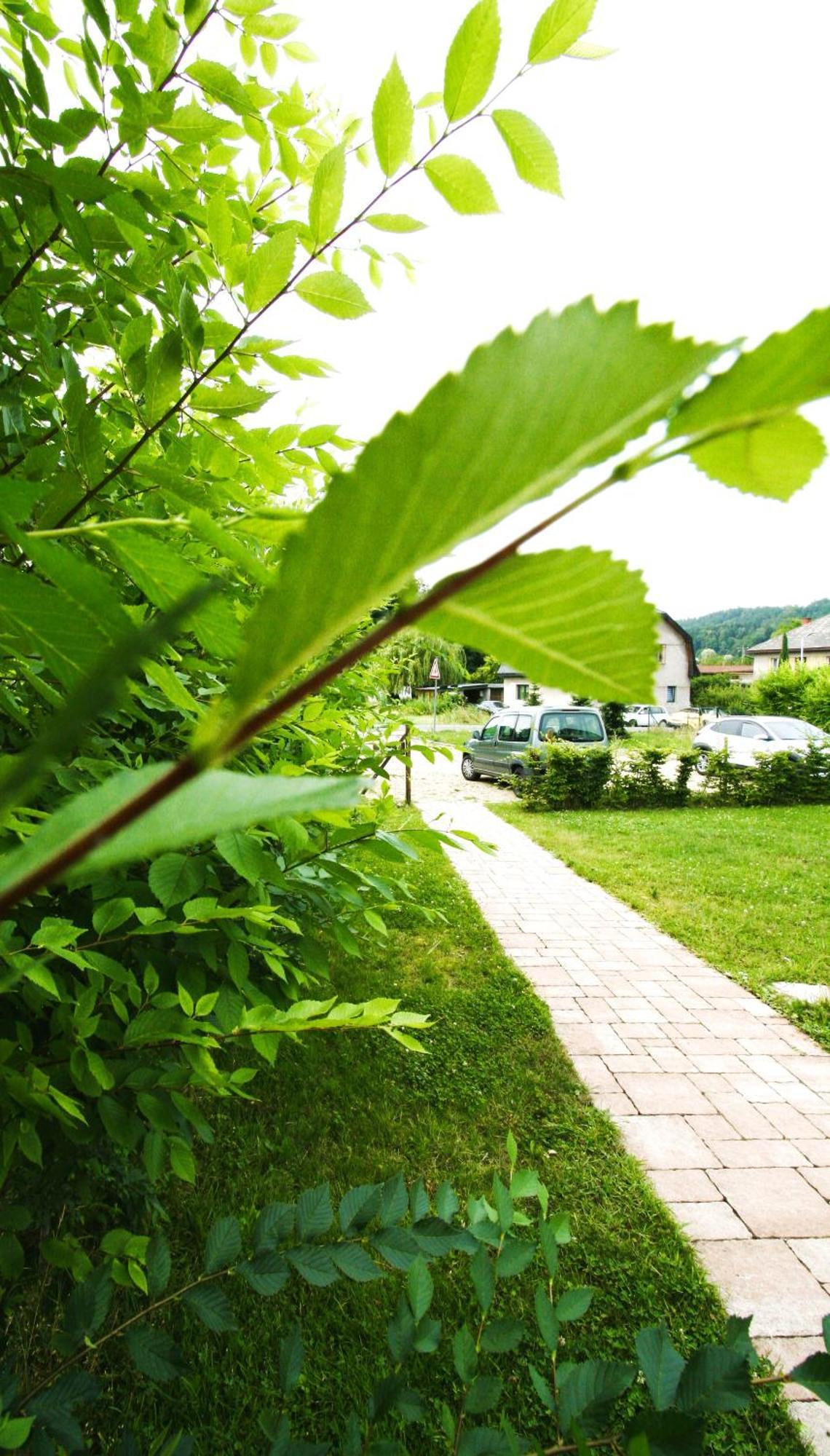 Stylovy Vesnicky V Soukromi M. Skala Cesky Raj Appartement Koberovy